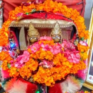 Profile photo of Niharika Goyal